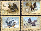 Fauna of Hungary (Protected birds of prey)