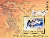 Magyarország állatvilága - madarak blokk