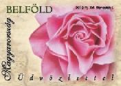 Your Own Stamp Greetings 1 Roses
